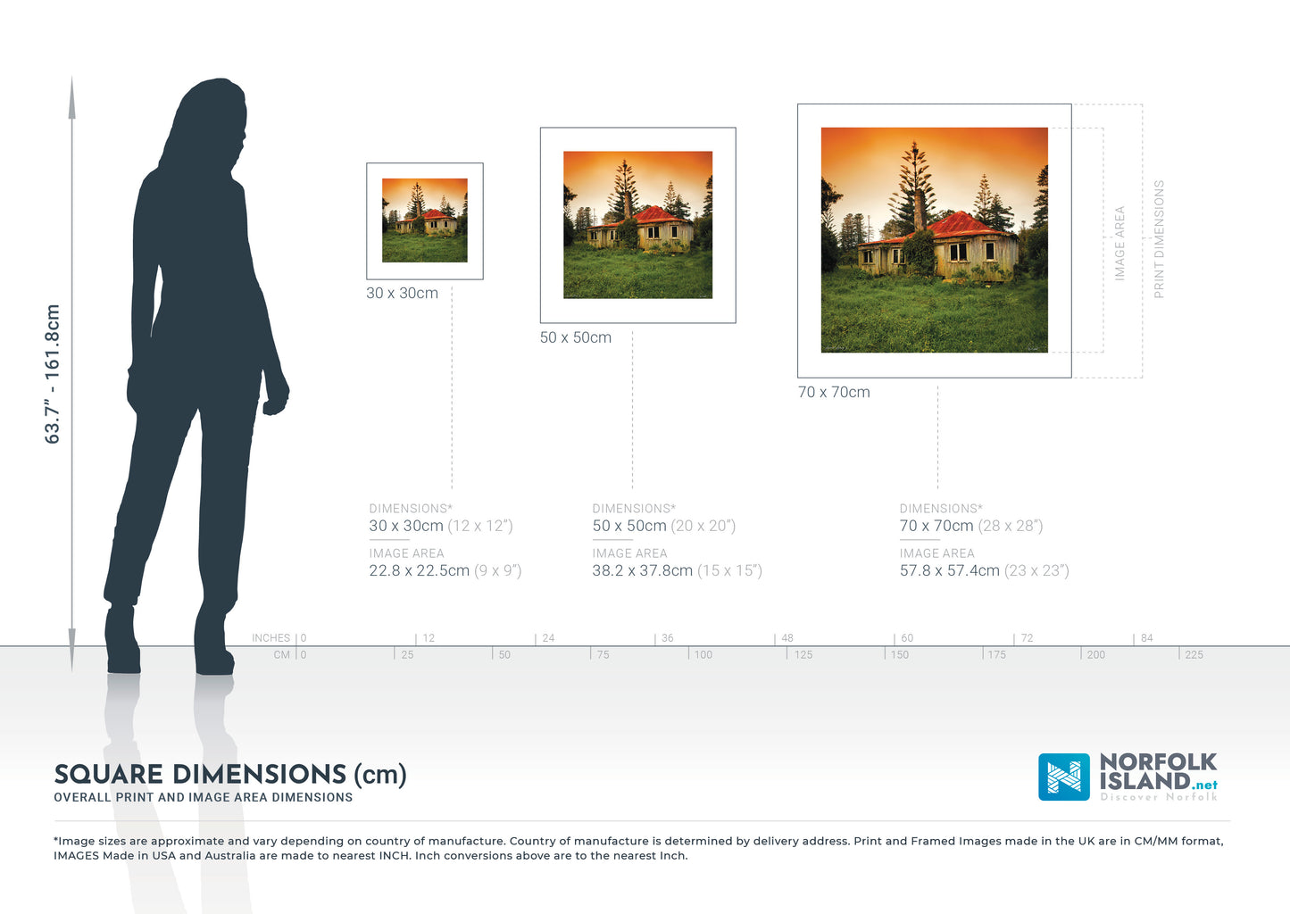 Aunt Amy's (Limited Edition)