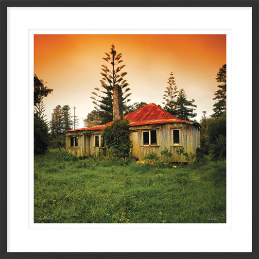 Aunt Amy's (Limited Edition)