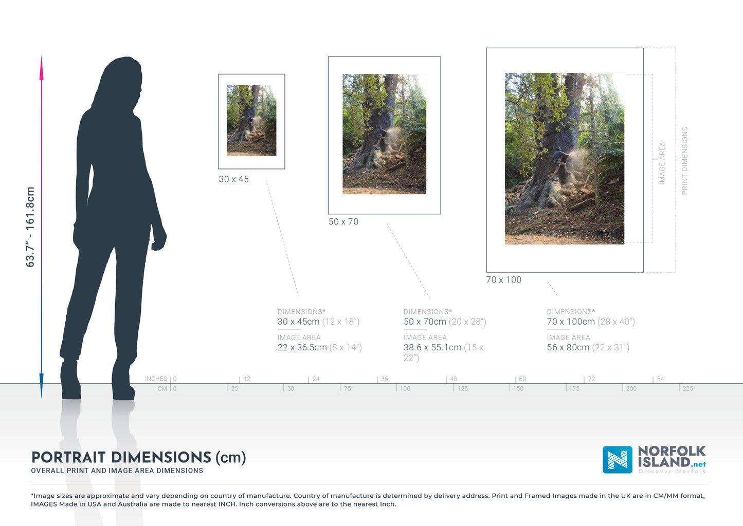 Felling a Norfolk Pine Tree (Open Edition)