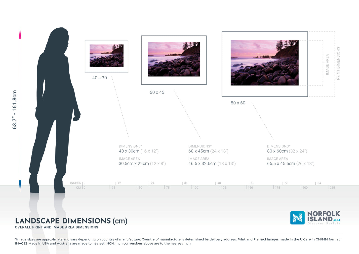 Duffy's Whale (Limited Edition)