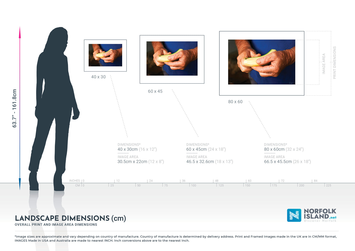 Green Plun (Open Edition Print)