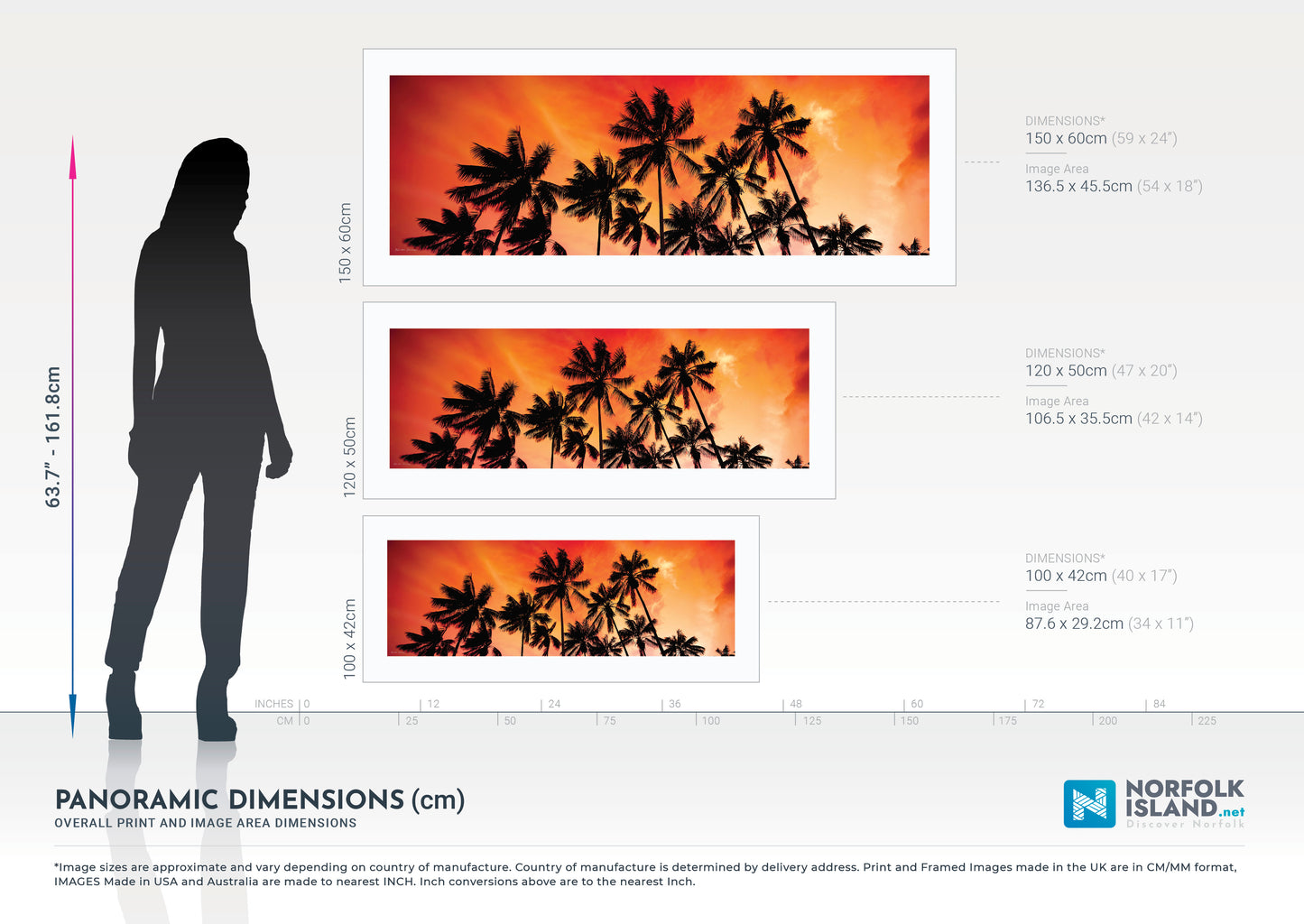 Kentia Sunrise (Limited Edition Print)