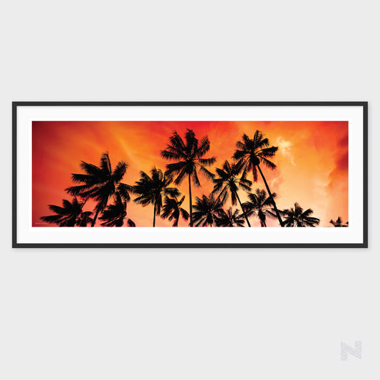 Kentia Sunrise (Limited Edition Print)