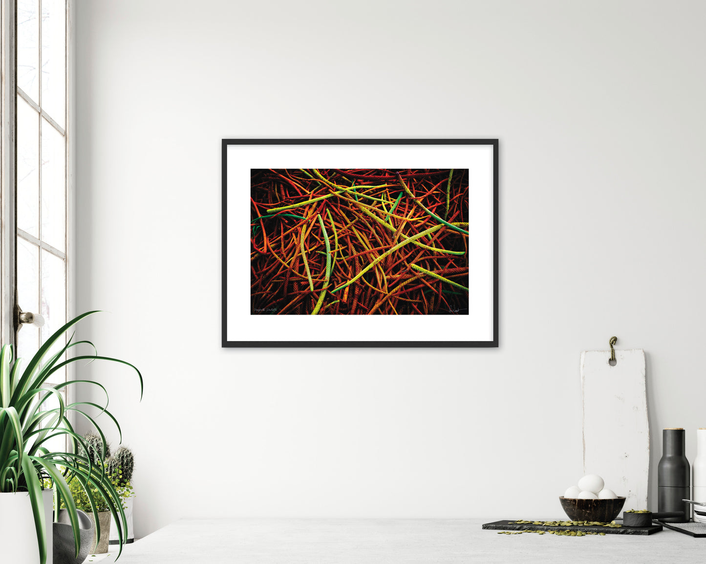 Norfolk Palette (Open Edition Print)