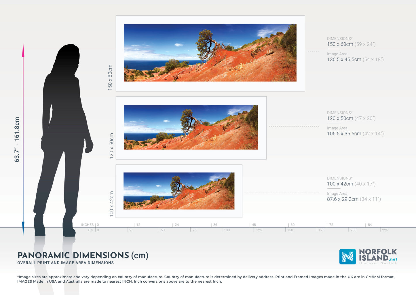 Resilient Oak, Phillip Island (Limited Edition Print)