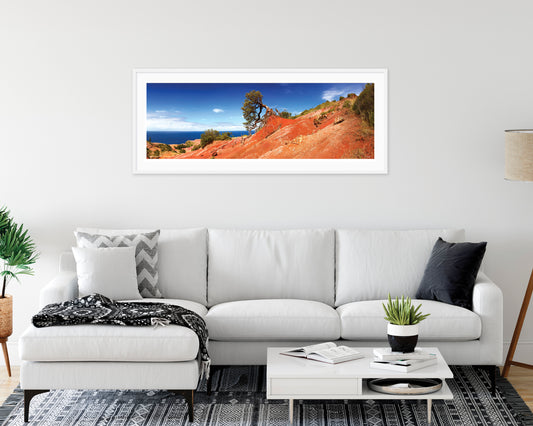 Resilient Oak, Phillip Island (Limited Edition Print)