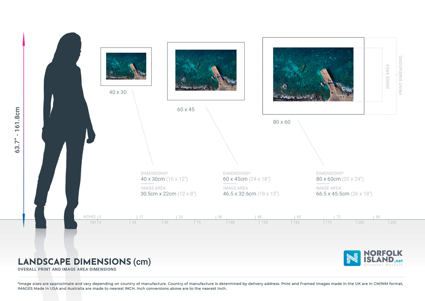 Bird's Eye View (Open Edition Print)