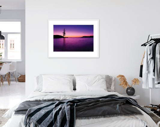 The Lone Pine (Open Edition Print)