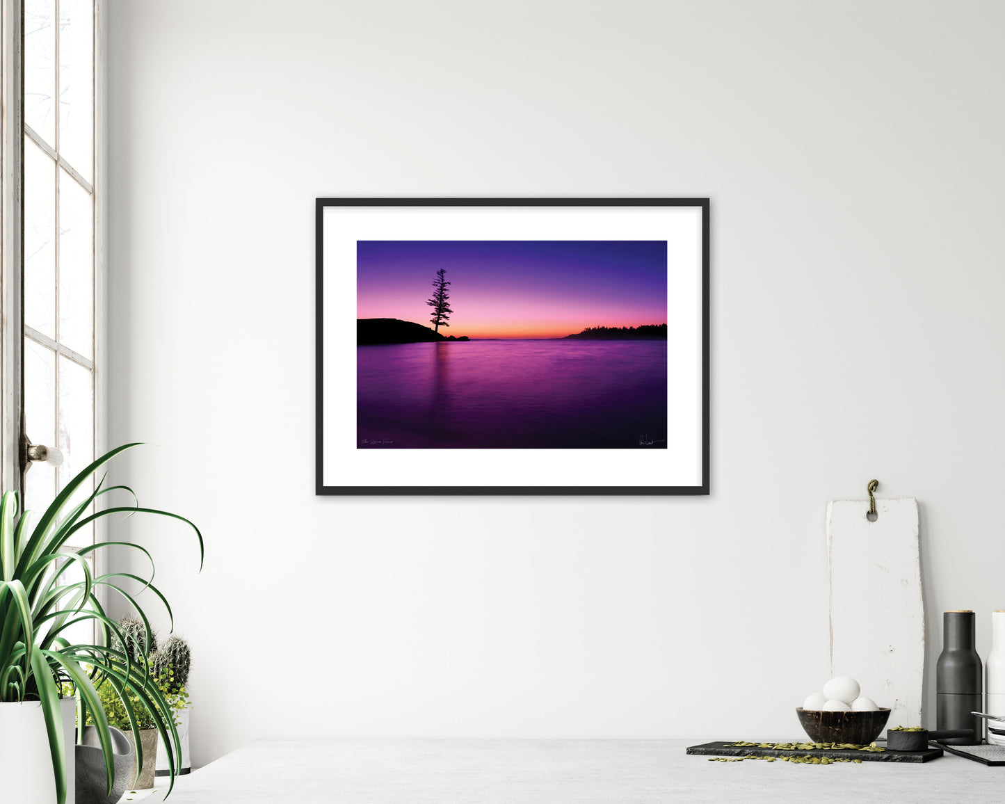 The Lone Pine (Open Edition Print)