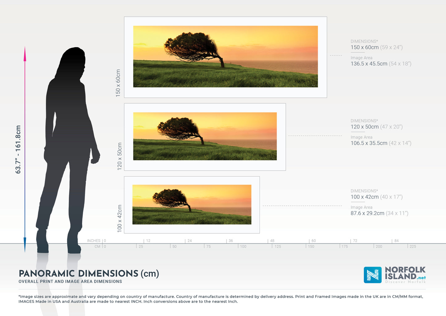 Windswept (Limited Edition Print)