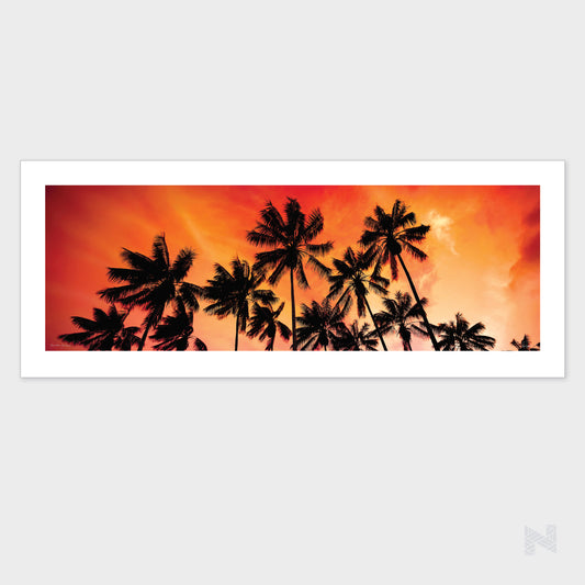 Kentia Sunrise (Limited Edition Print)
